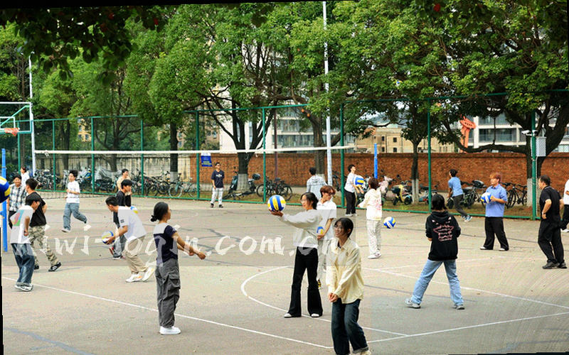 射门统计奇异果数据图表，包含射门热区与阵地分布视图